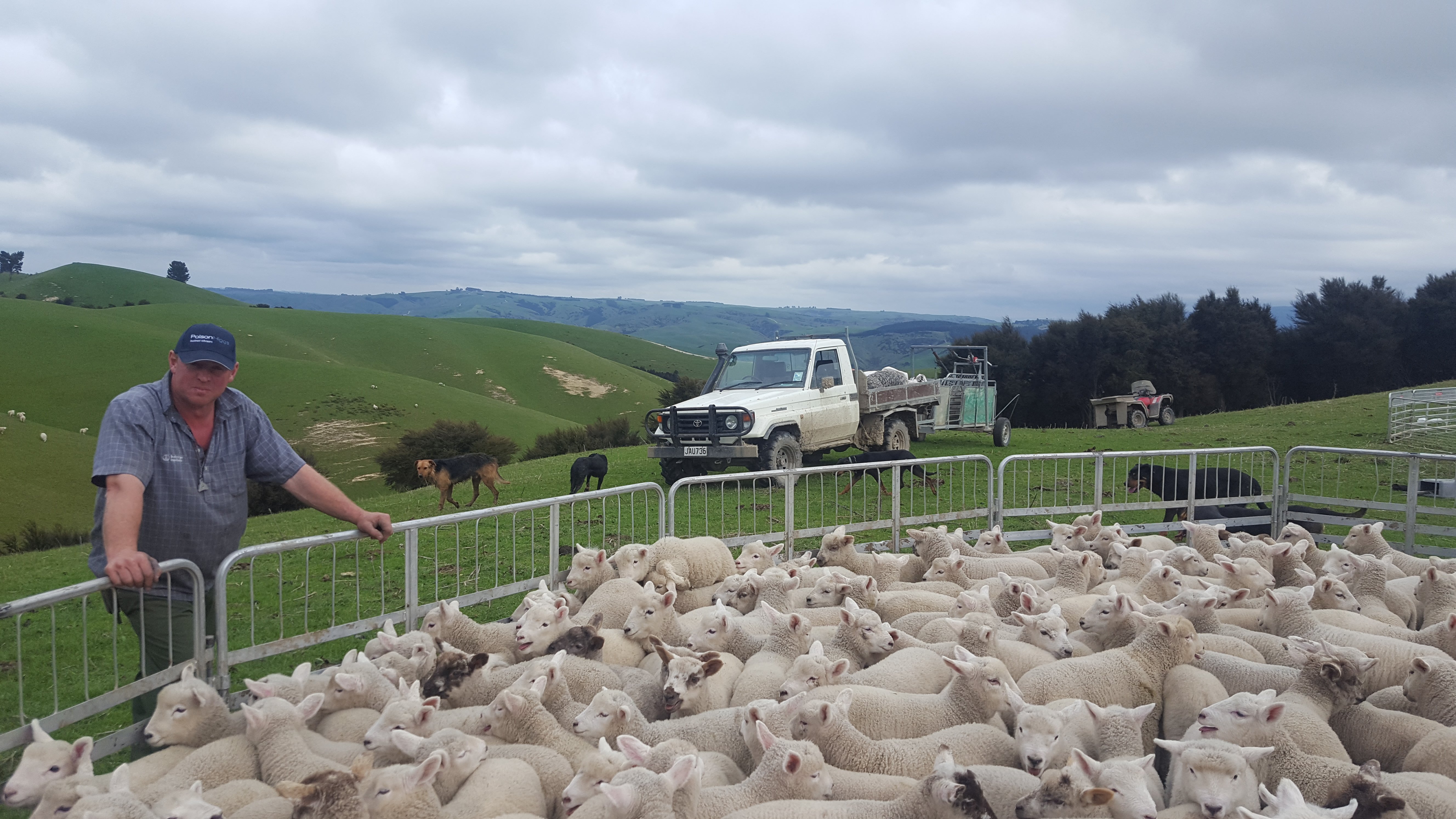 Overhill Farm & Polson Higgs