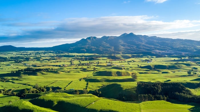 rural-new-zealand