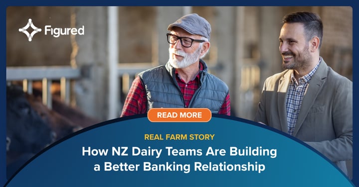 How NZ Dairy Teams Are Building a Better Banking Relationship
