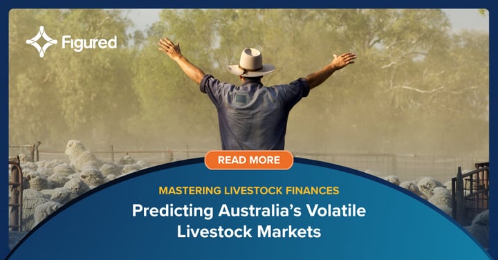 Wish You Could Predict Australian Livestock Markets? Maybe You Don’t Have To