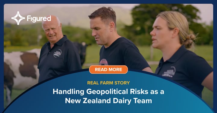 Handling Geopolitical Risks as a New Zealand Dairy Team