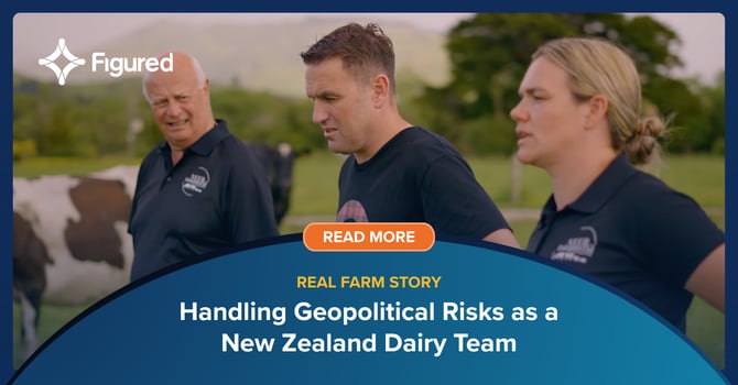 Handling Geopolitical Risks as a New Zealand Dairy Team