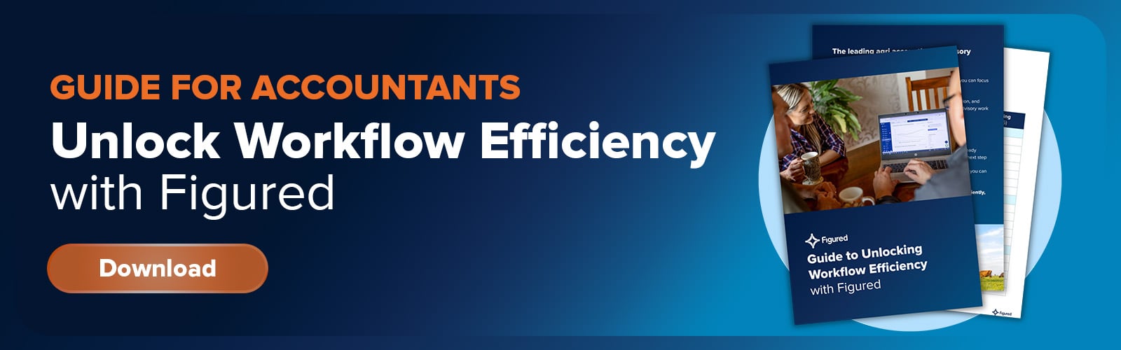 CTA - Workflow for Accountants