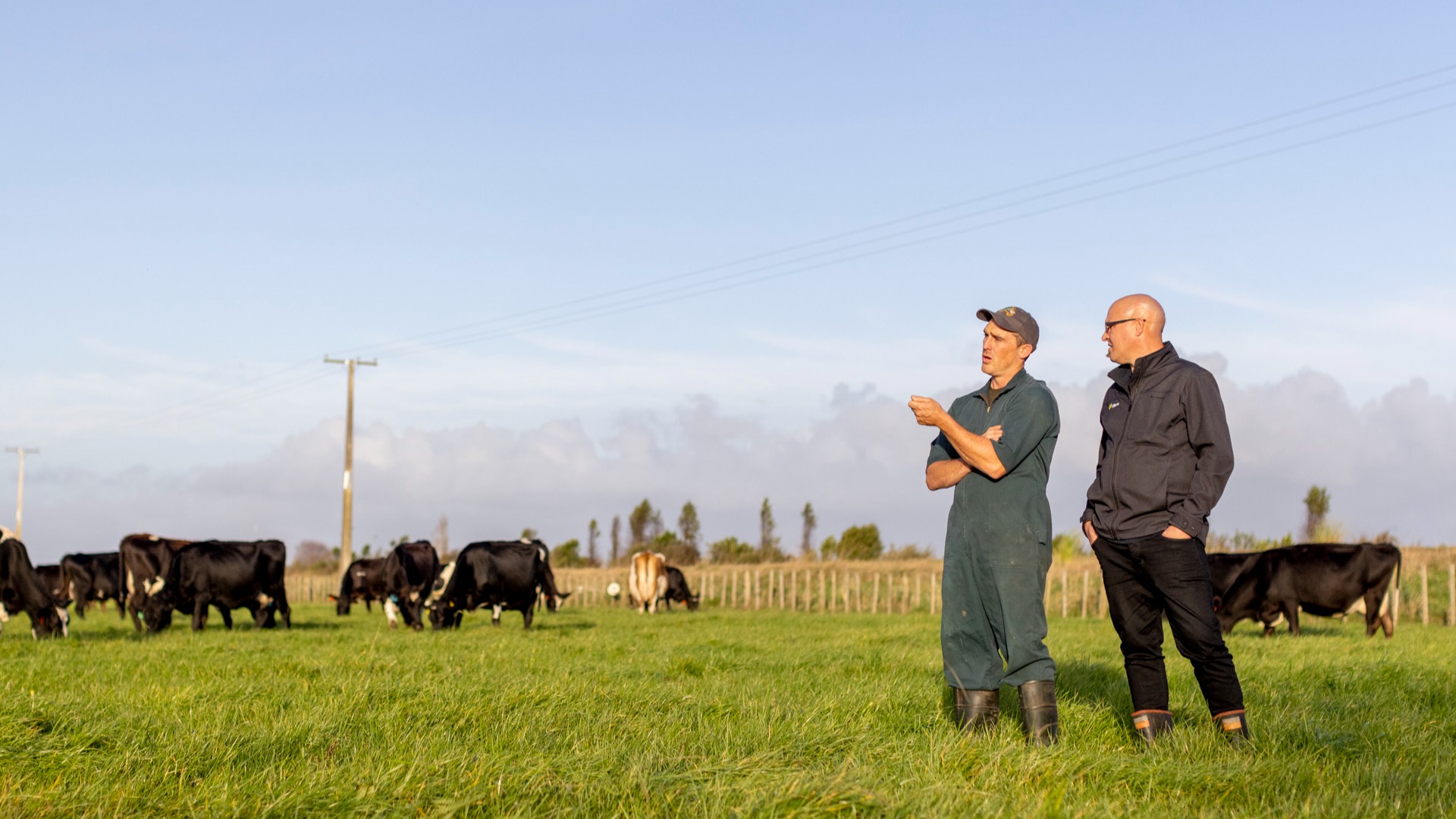 kaituna-pastures-figured-stem-rural-accountants