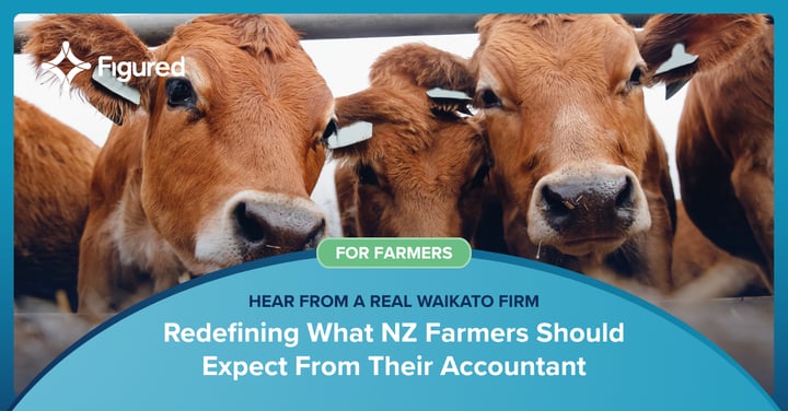 How Diprose Miller Is Redefining What NZ Farmers Should Expect From Their Accountant