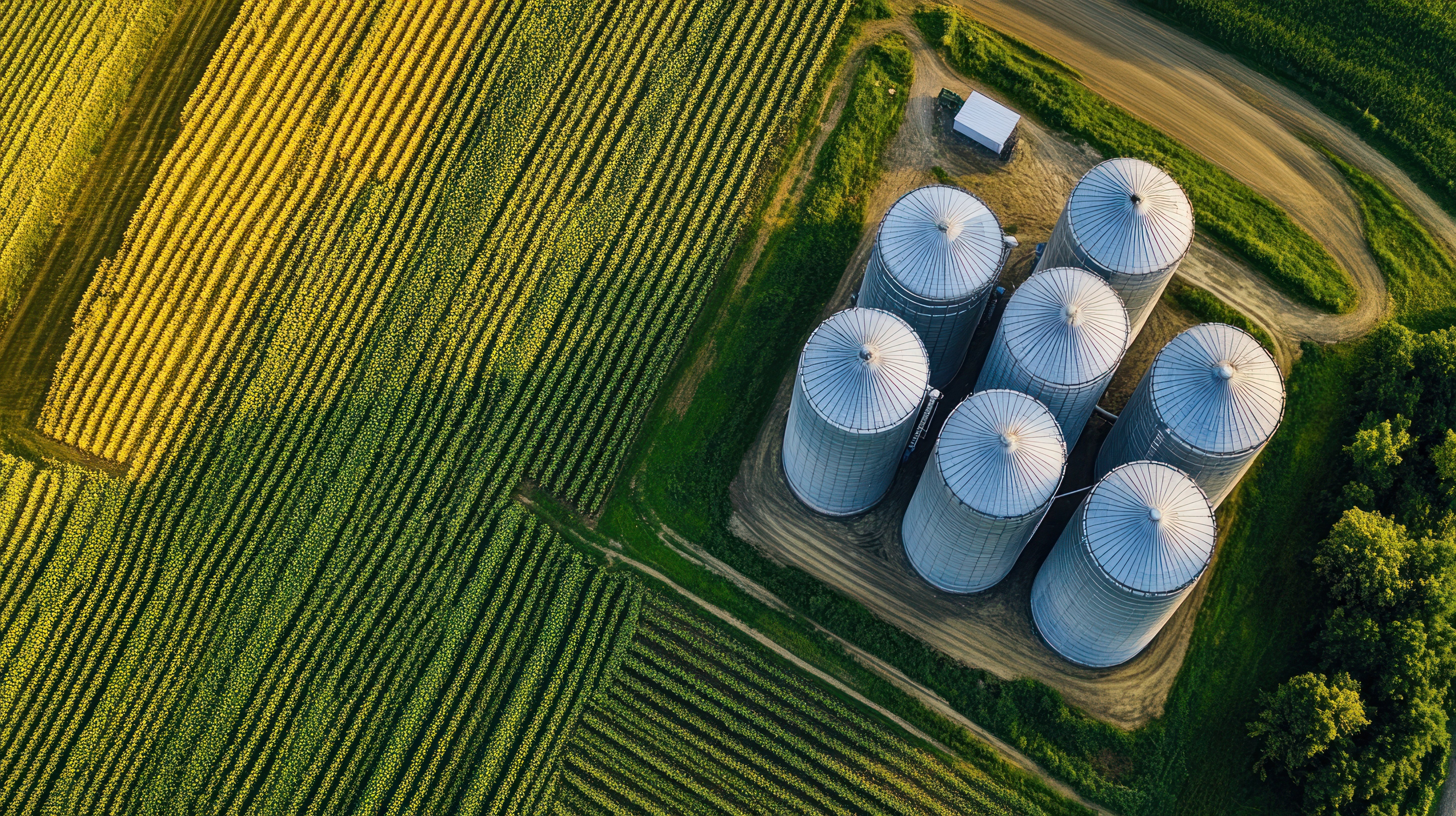 Iowa 1