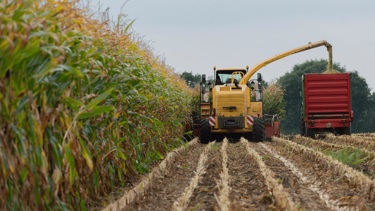 Iowa crops_Compressed