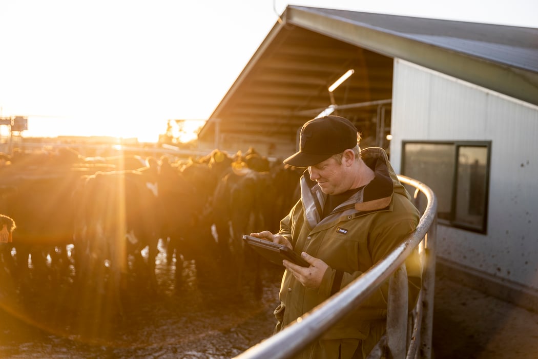 Livestock Finance