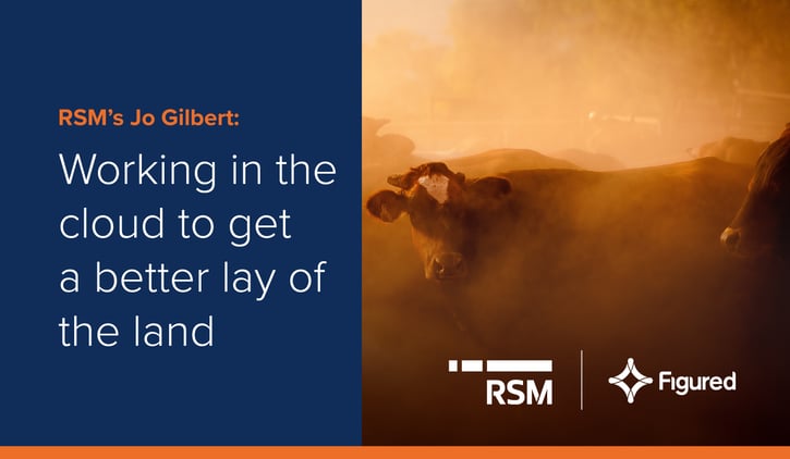 RSM Jo Gilbert Case Study Header