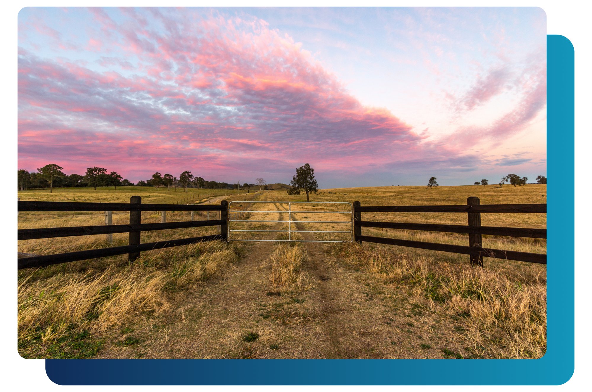 Australia farm gate at sunset, blue background