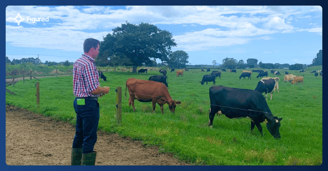 From Farm Managers to Award-Winning Sharemilkers: And How They Did It