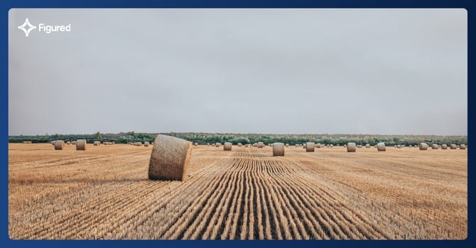 Why QuickBooks On Its Own Can't Tell Your Client What to Sell a Crop At