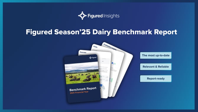 Figured Season’25 Benchmarks: Arriving Exactly When They’re Needed Most