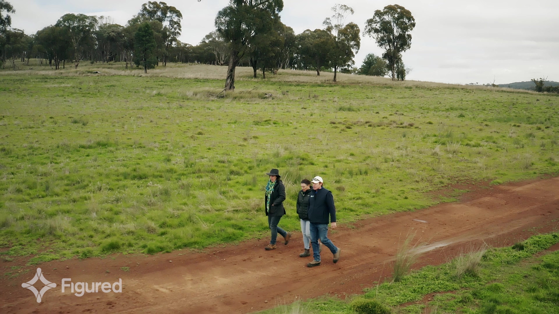 PrincipleFocus + Roseville Park Merino Stud