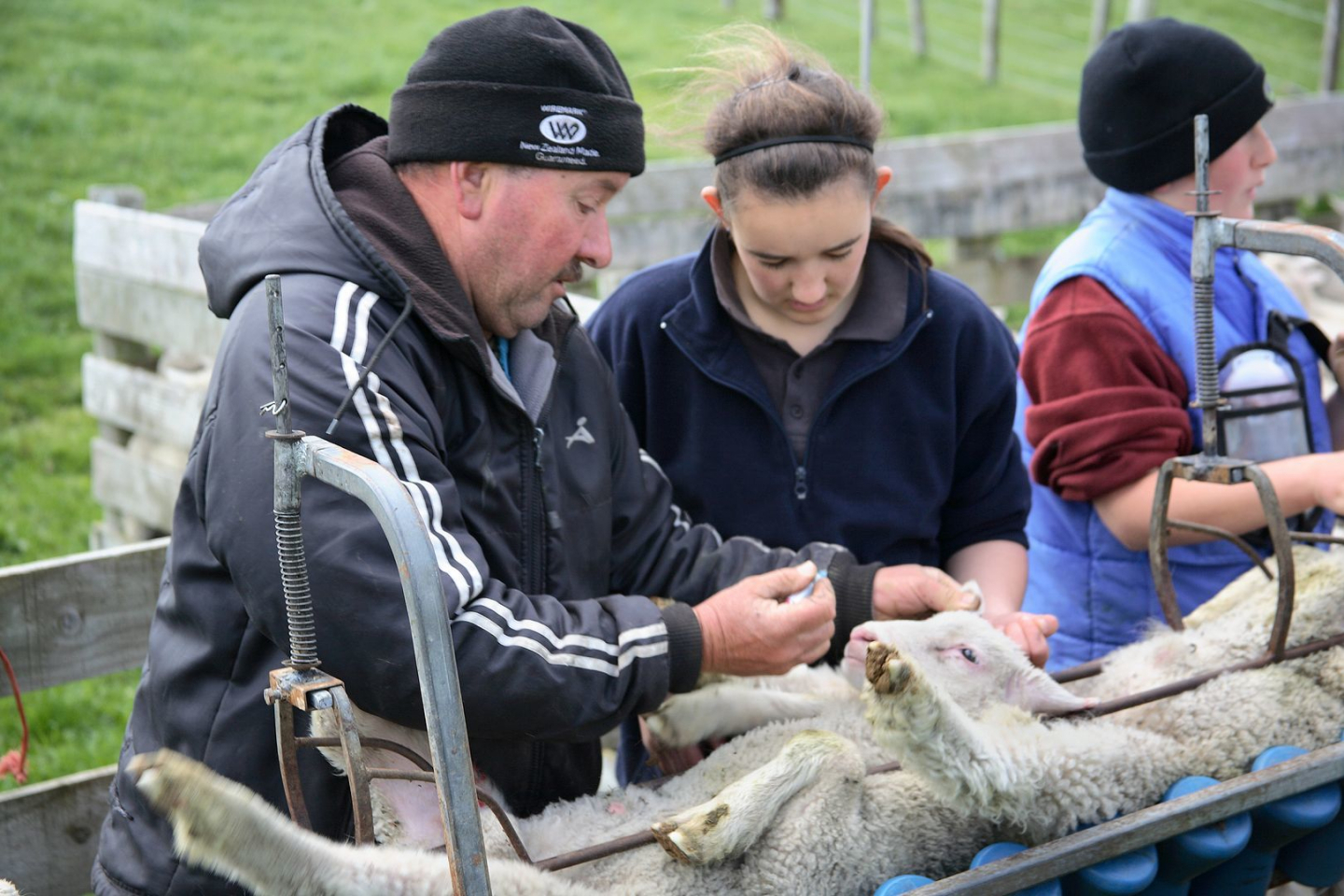 Farming on the front foot