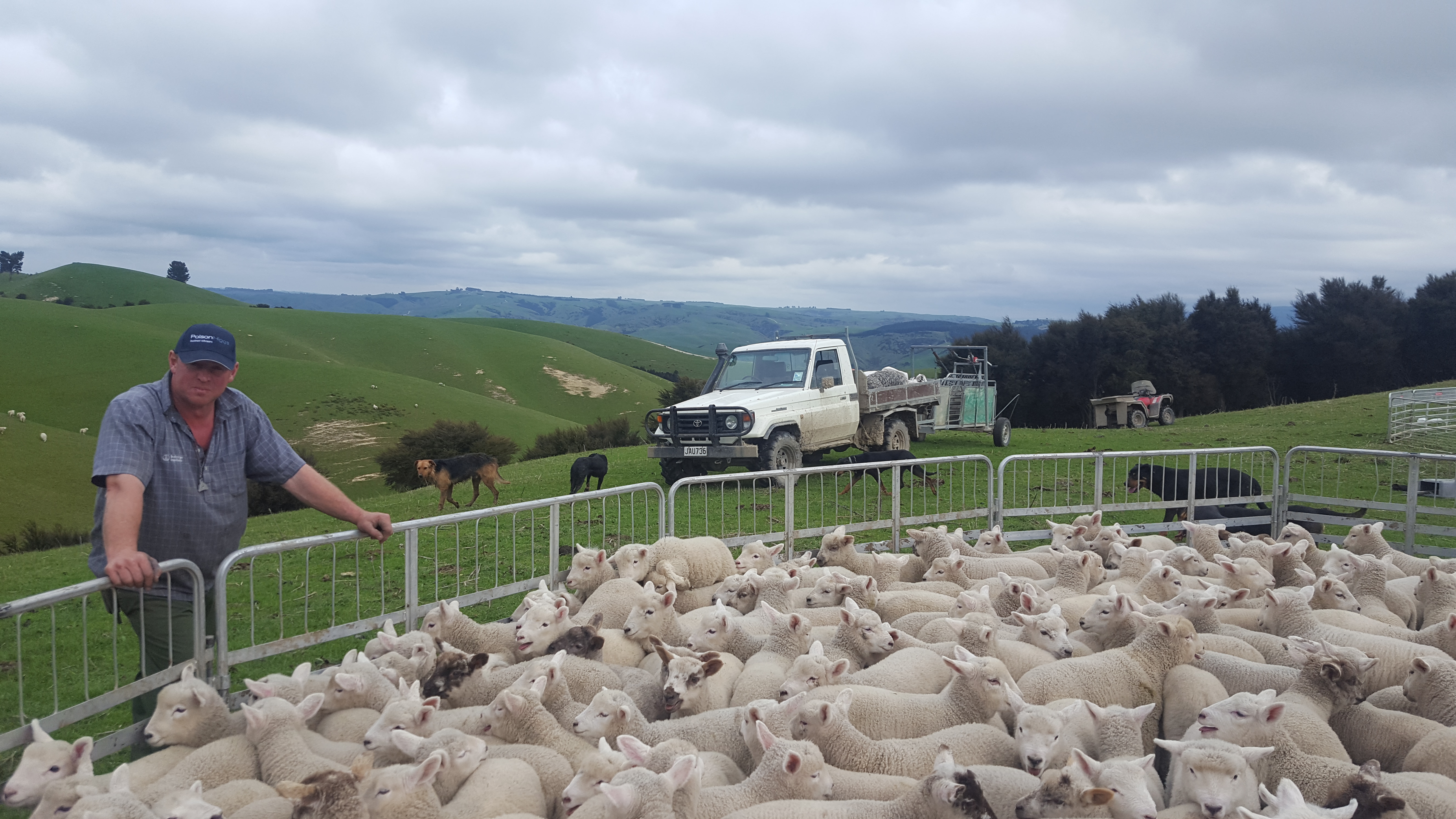 Overhill Farm & Polson Higgs