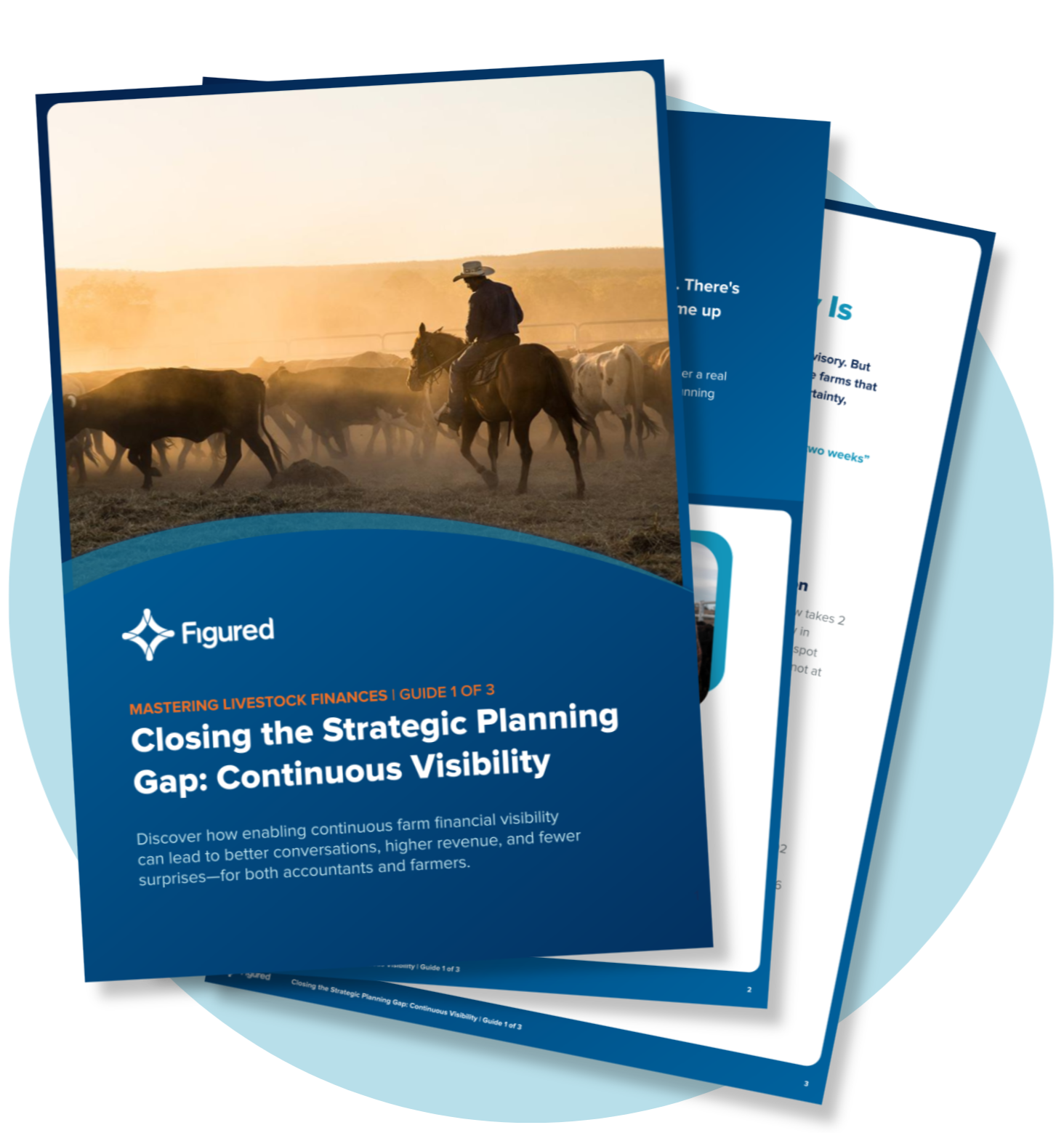 How Greater Visibility Leads to Fewer Surprises