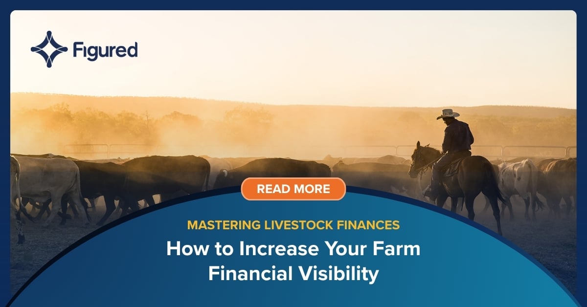How to Massively Increase Farm Financial Visibility—as a Farmer or Accountant