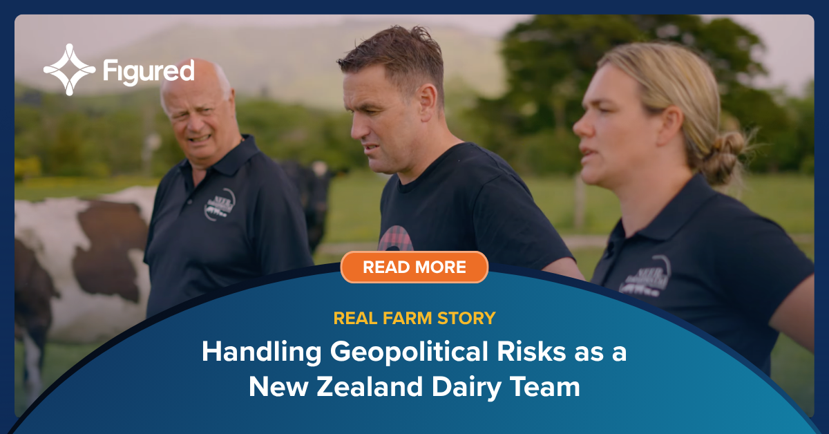 Handling Geopolitical Risks as a New Zealand Dairy Team