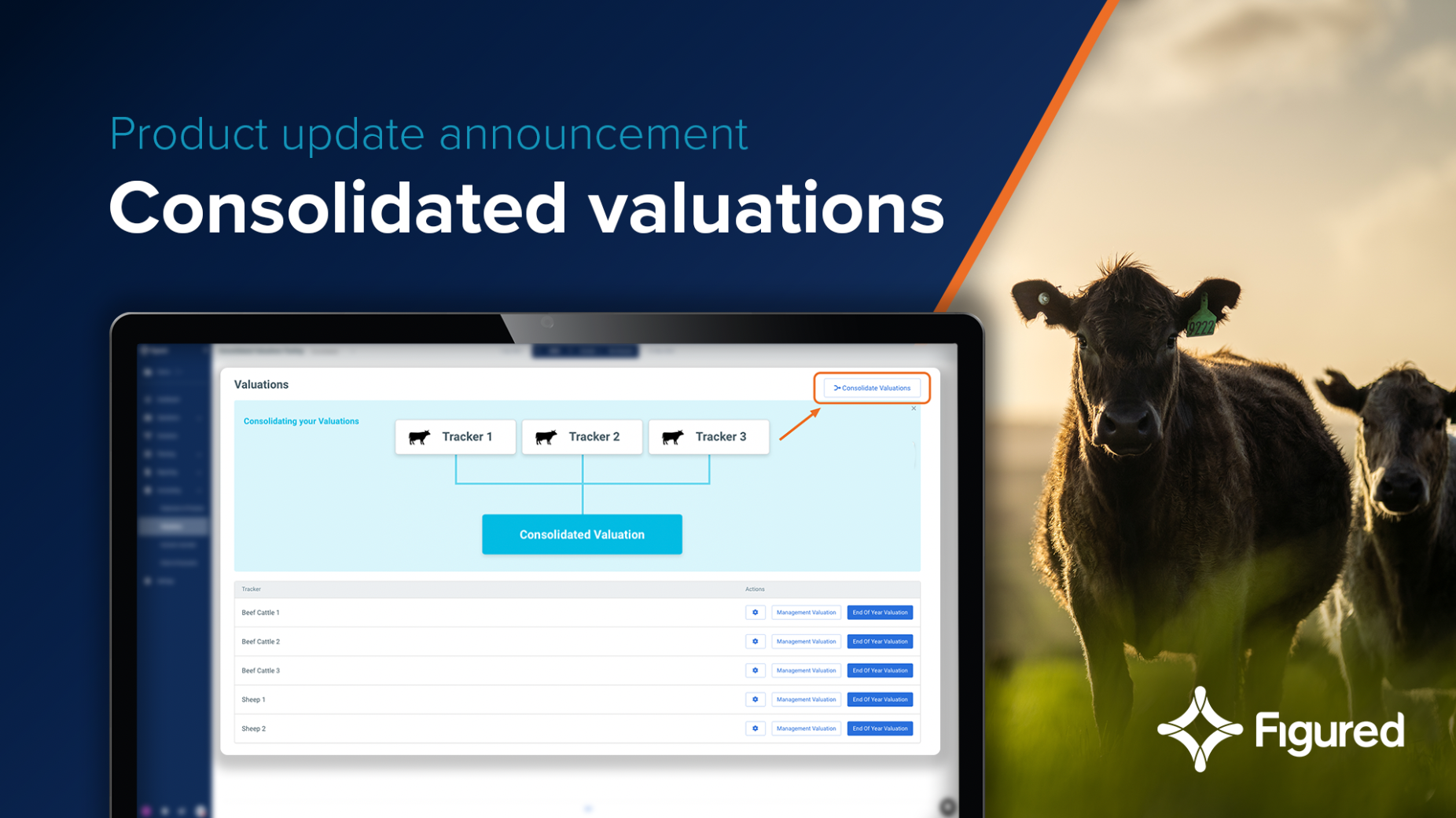 Streamline your firm’s valuations workflow with Figured’s new consolidated valuations