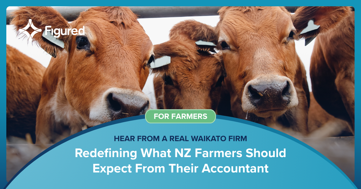 How Diprose Miller Is Redefining What NZ Farmers Should Expect From Their Accountant
