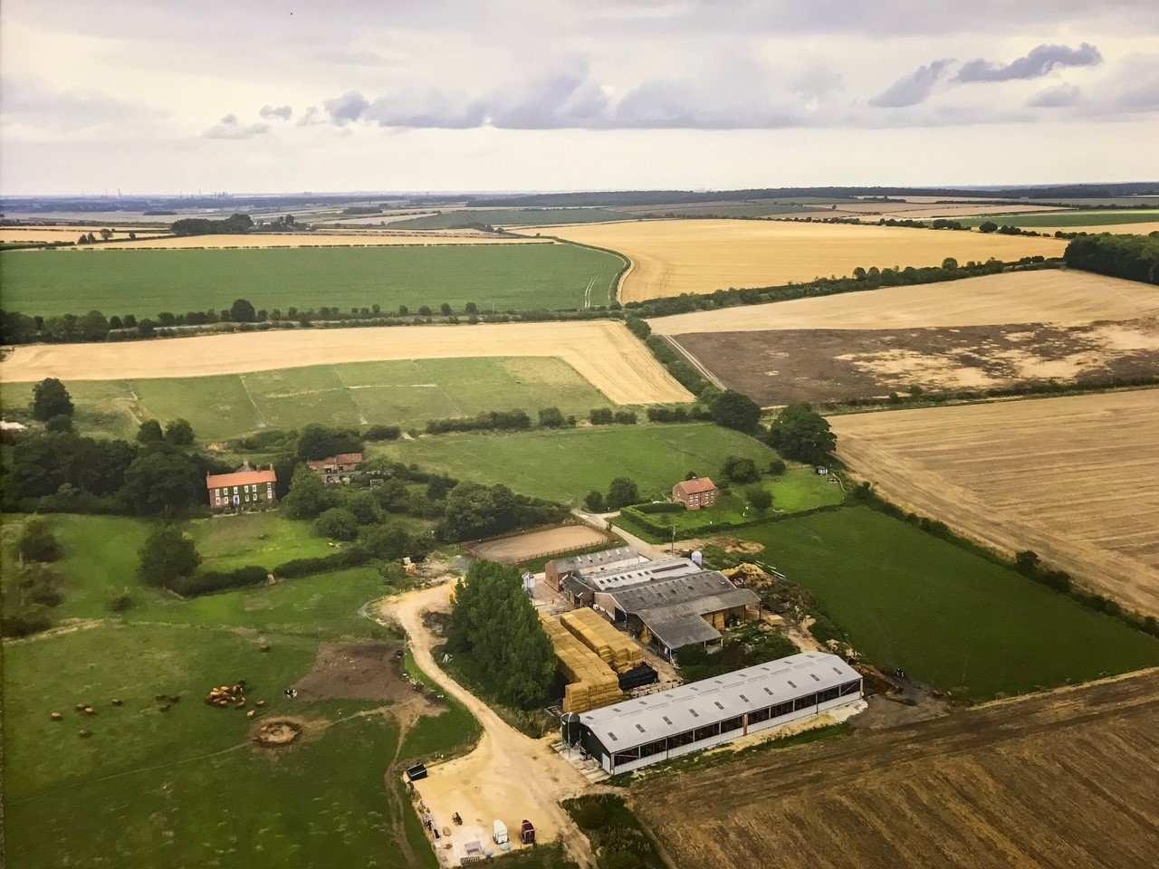 Farm drone view 