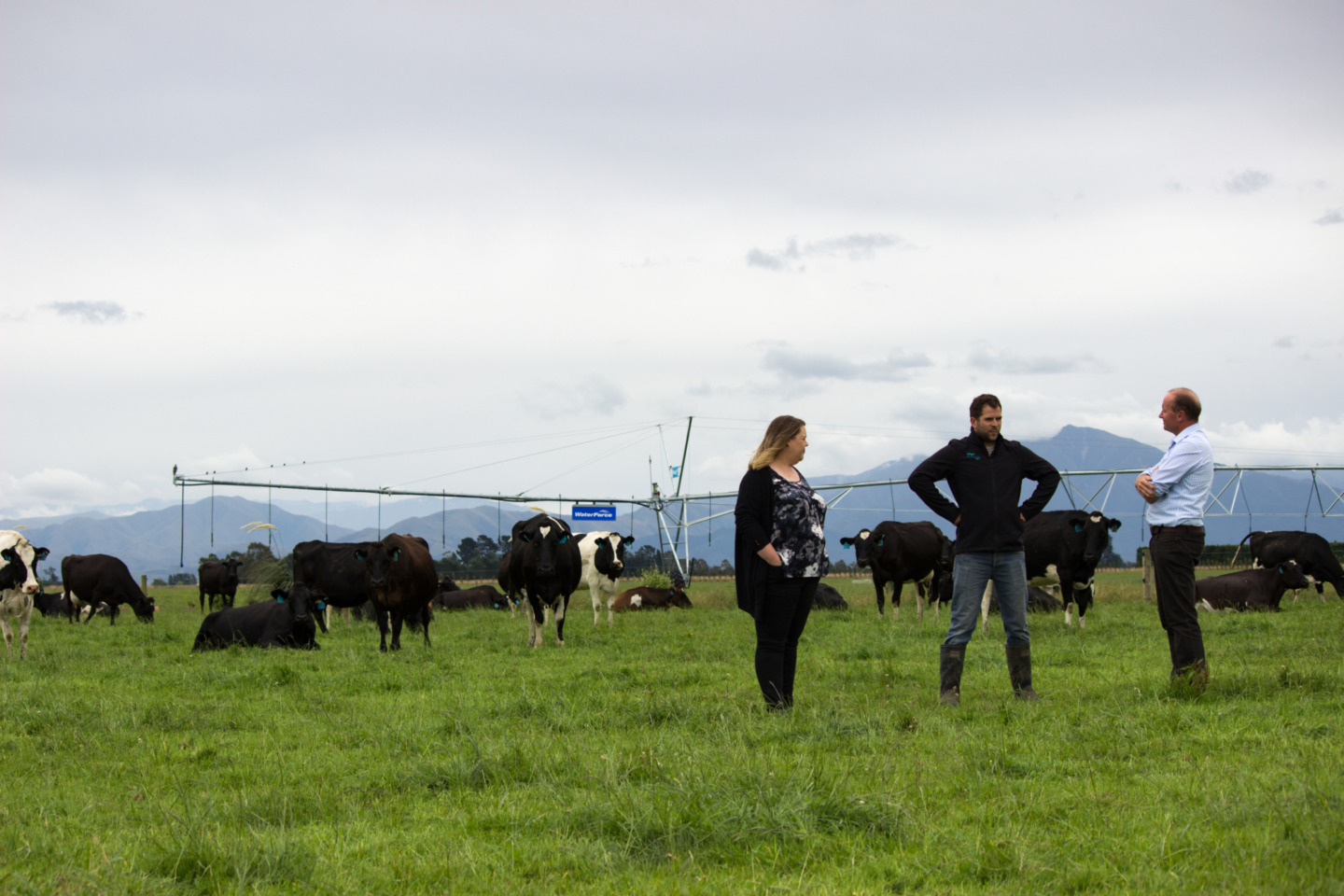 Farming for profit 101 (or live long and prosper)
