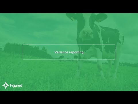 Variance reporting