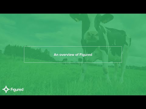 An overview of Figured