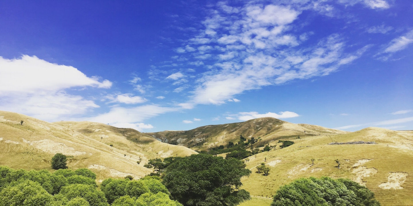 Why has a bank invested in an agri tech company? An update from BNZ