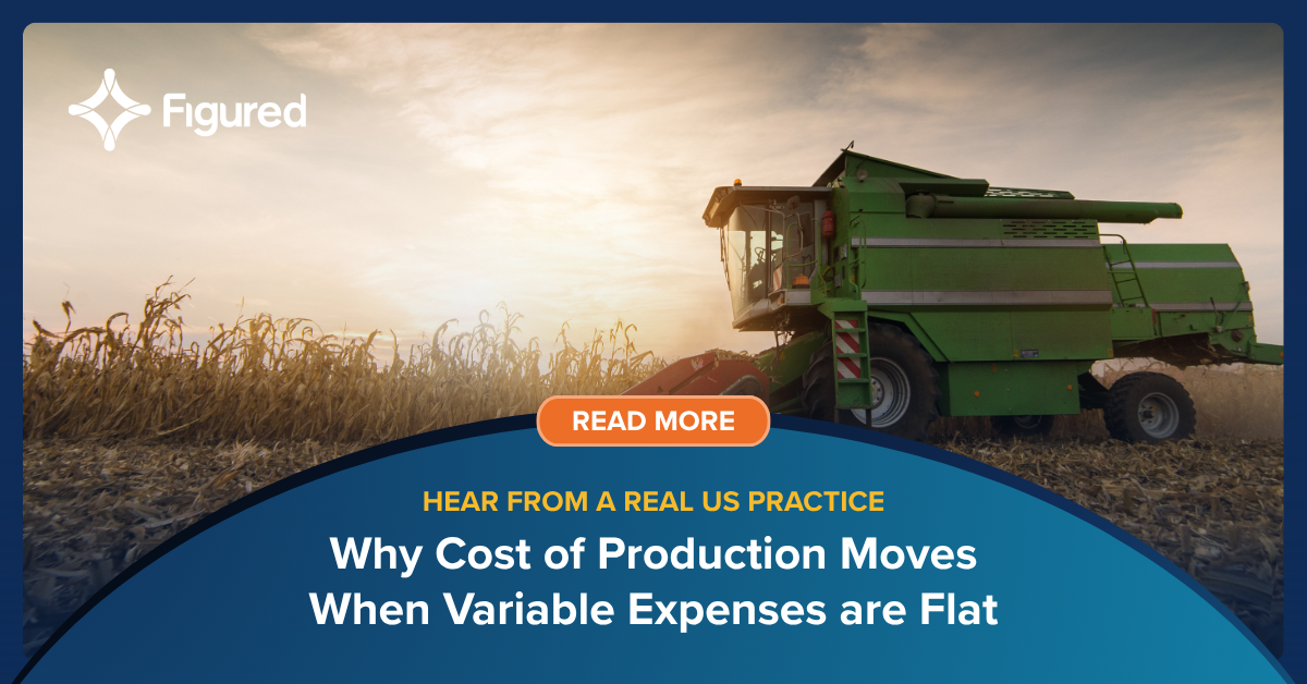 Variable Expenses Are Flat. So Why Is Cost of Production Still Moving?