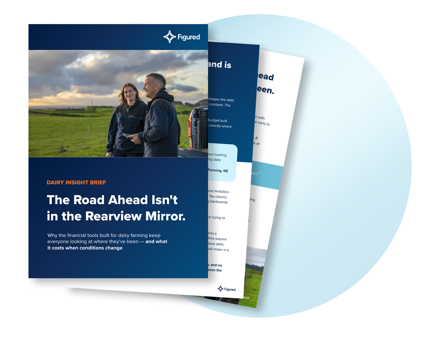 NZ Dairy Guide Thumbnail