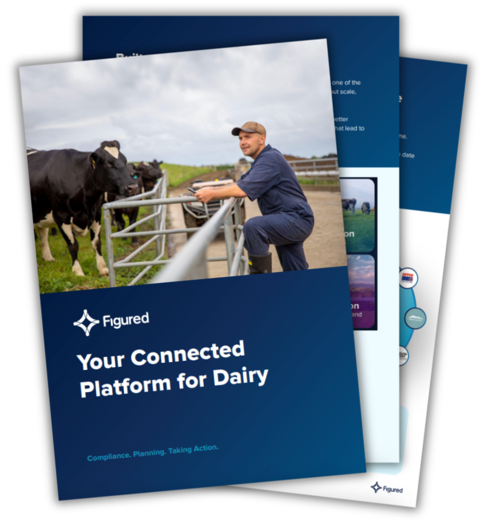 NZ Dairy Guide-thumbnail-1-1