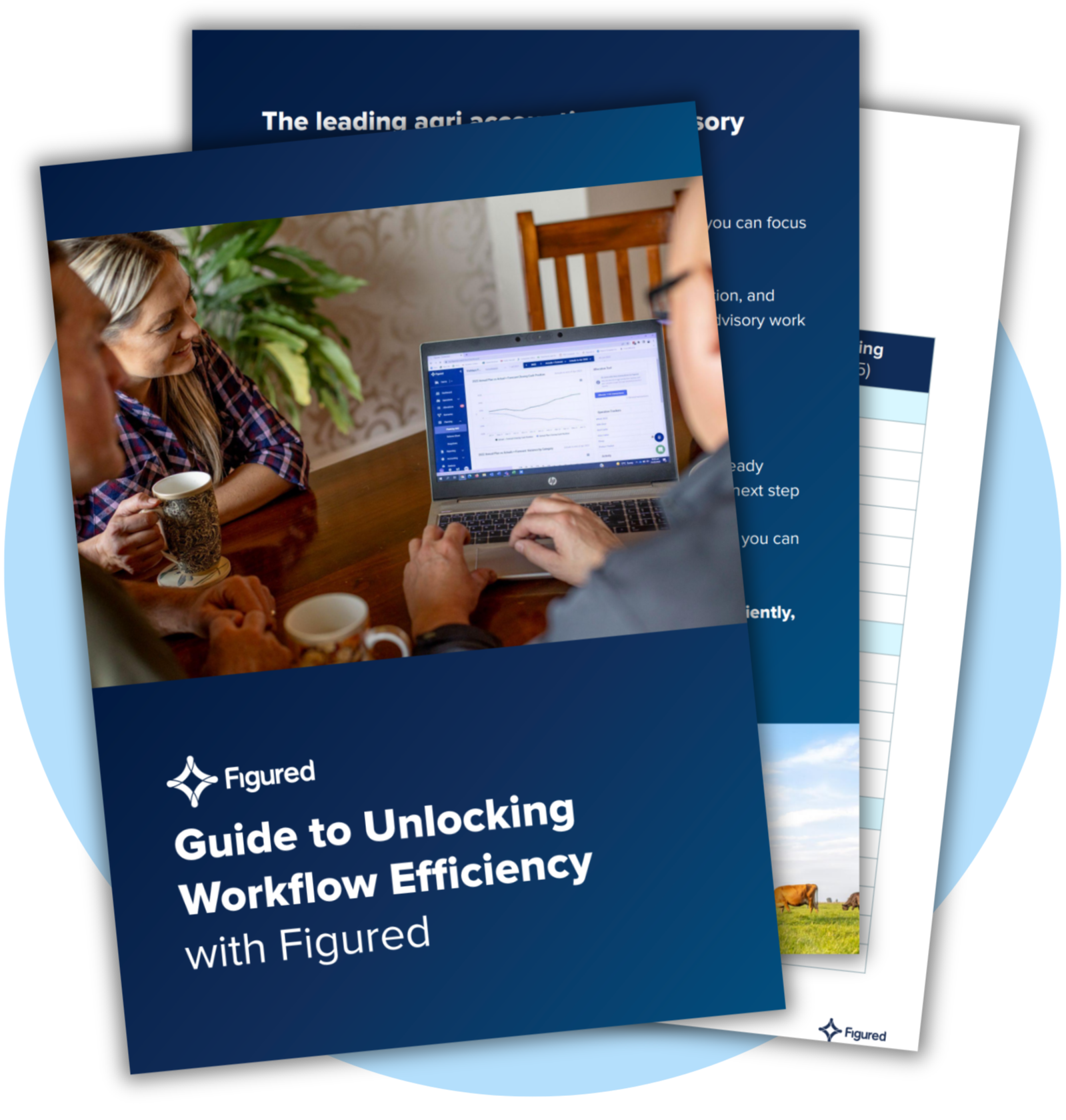 NZ Workflow Efficiency Guide-1