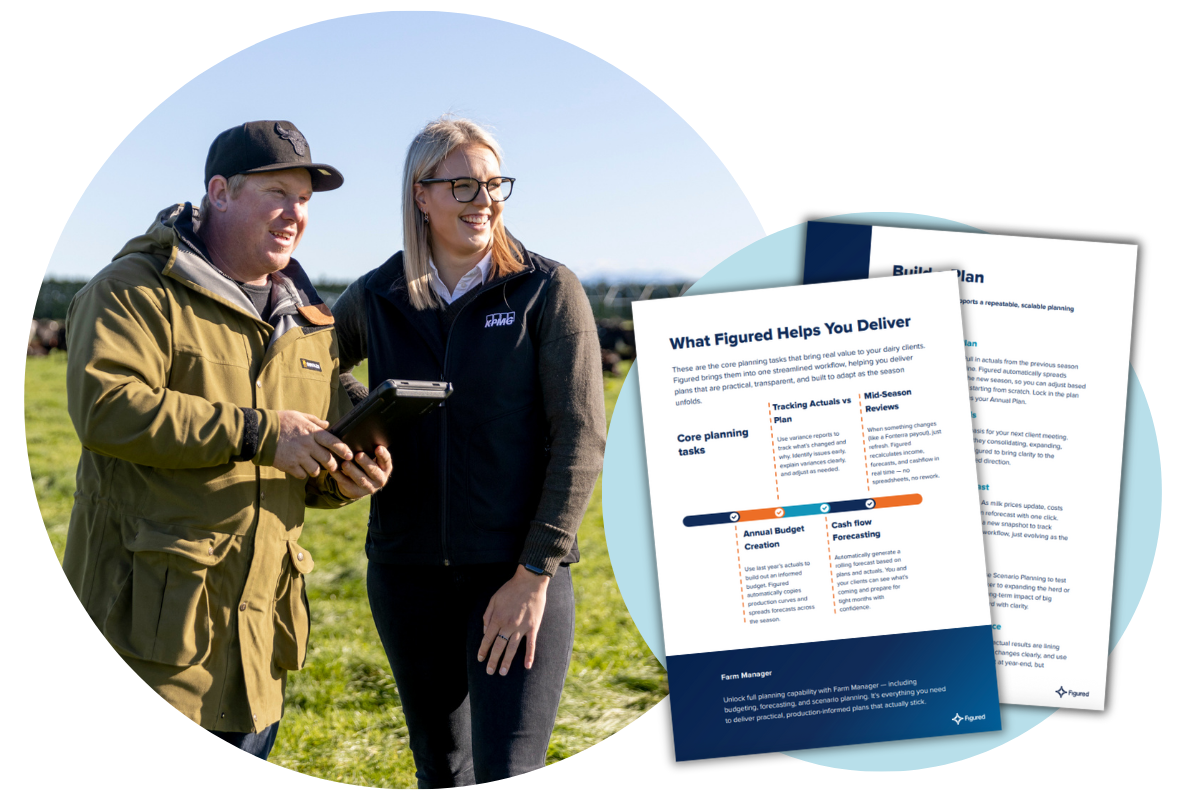 NZ dairy guide-2