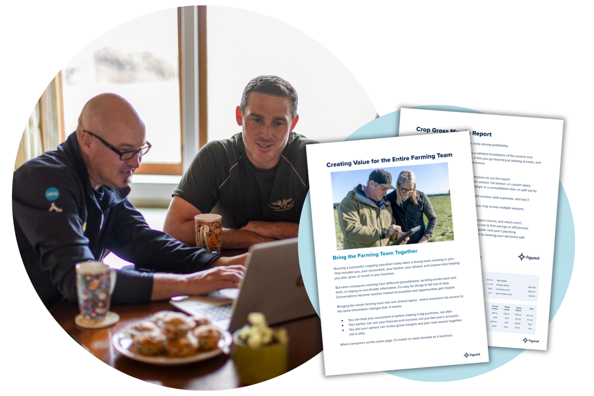 NZ dairy guide-3-1