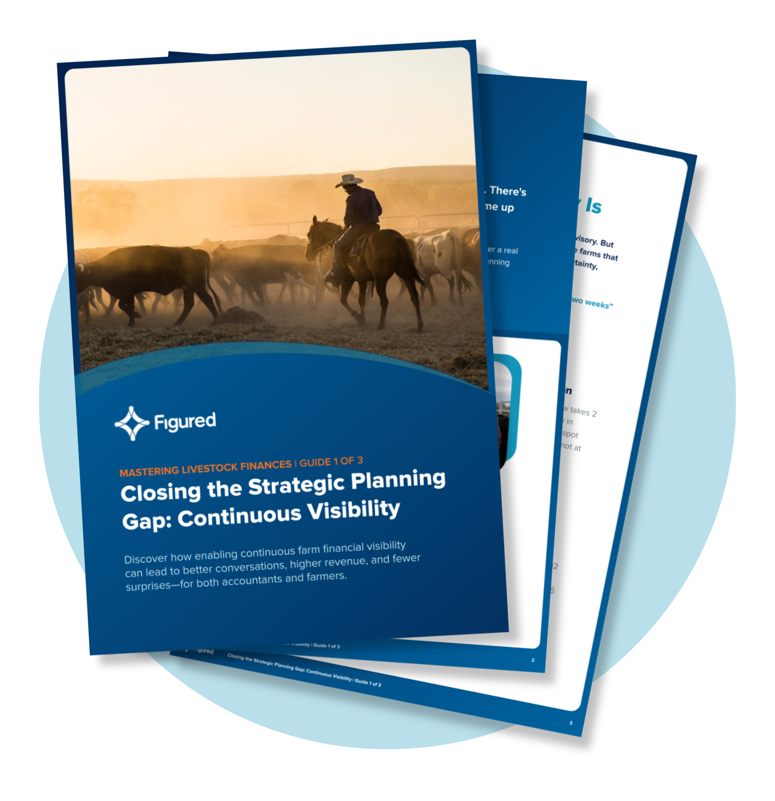 AU Livestock Continuous Visibility Guide