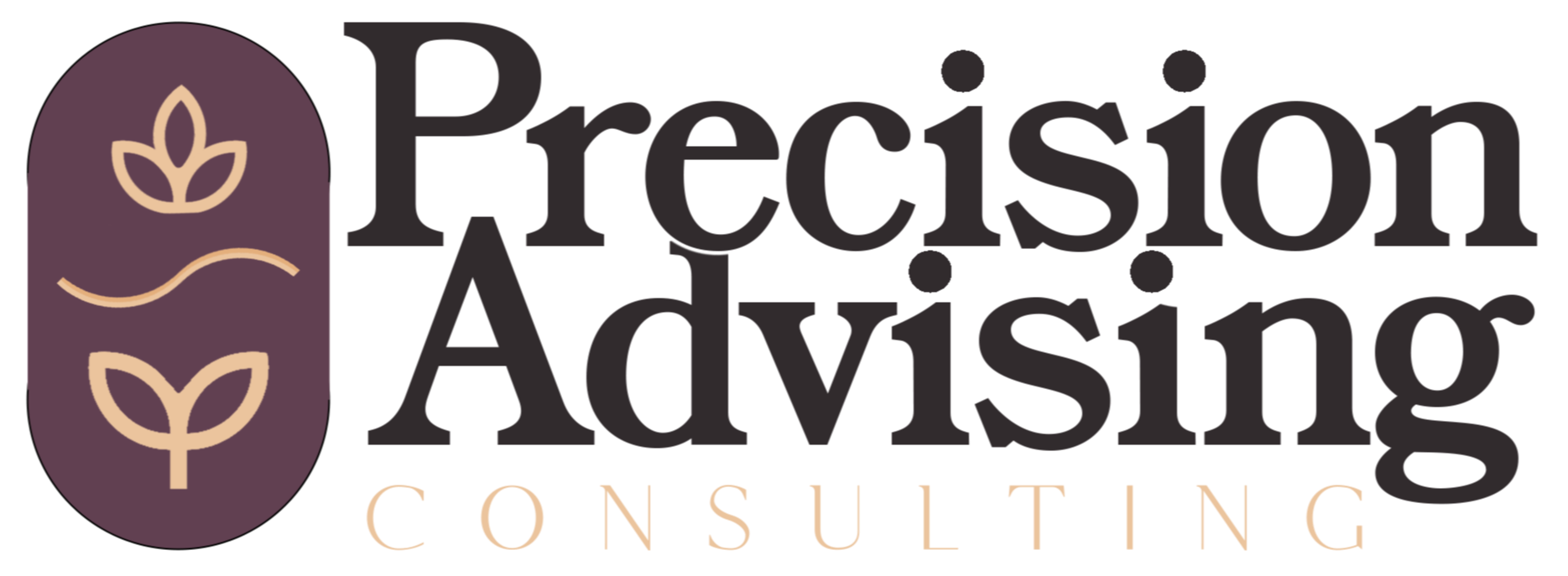 Precision-Advising-logo