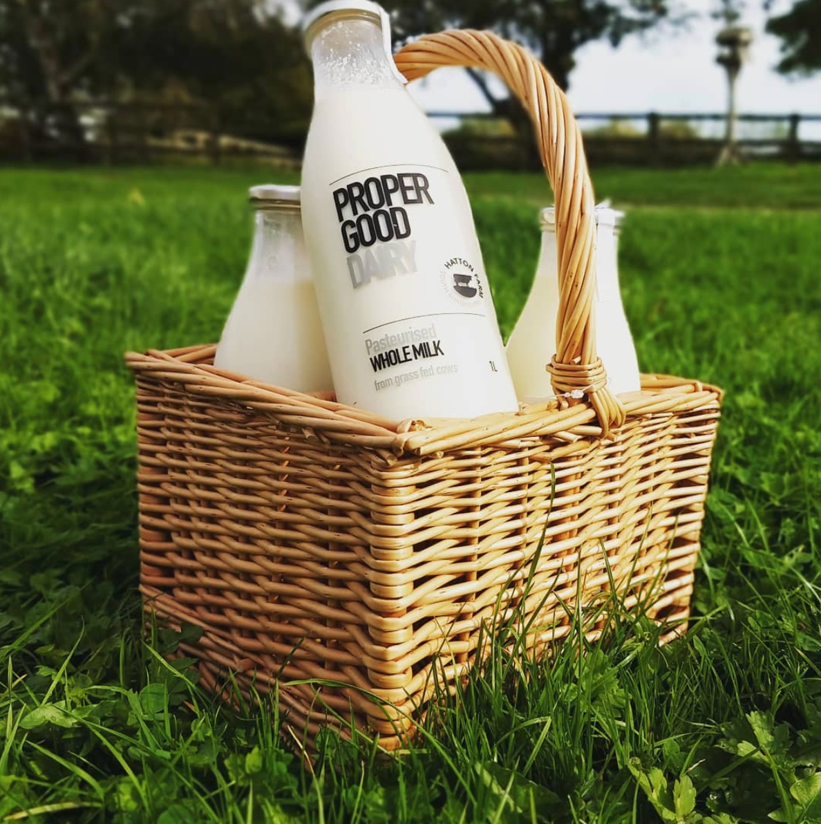 Proper_Good_Dairy___propergood_dairy__•_Instagram_photos_and_videos 