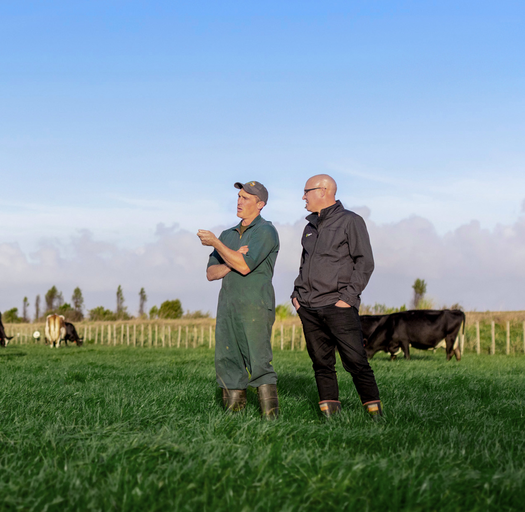Team-Waikato Dairy-1-Square-NZ
