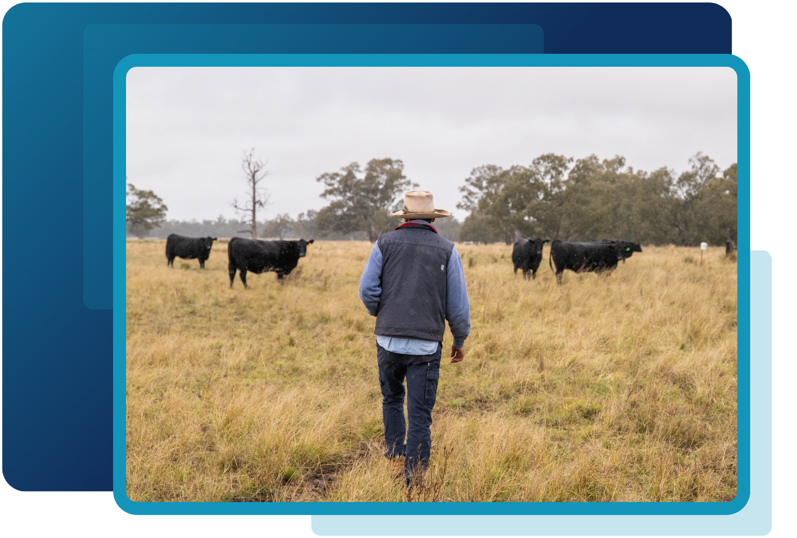 Untitled design - 2025-11-05T164100.529