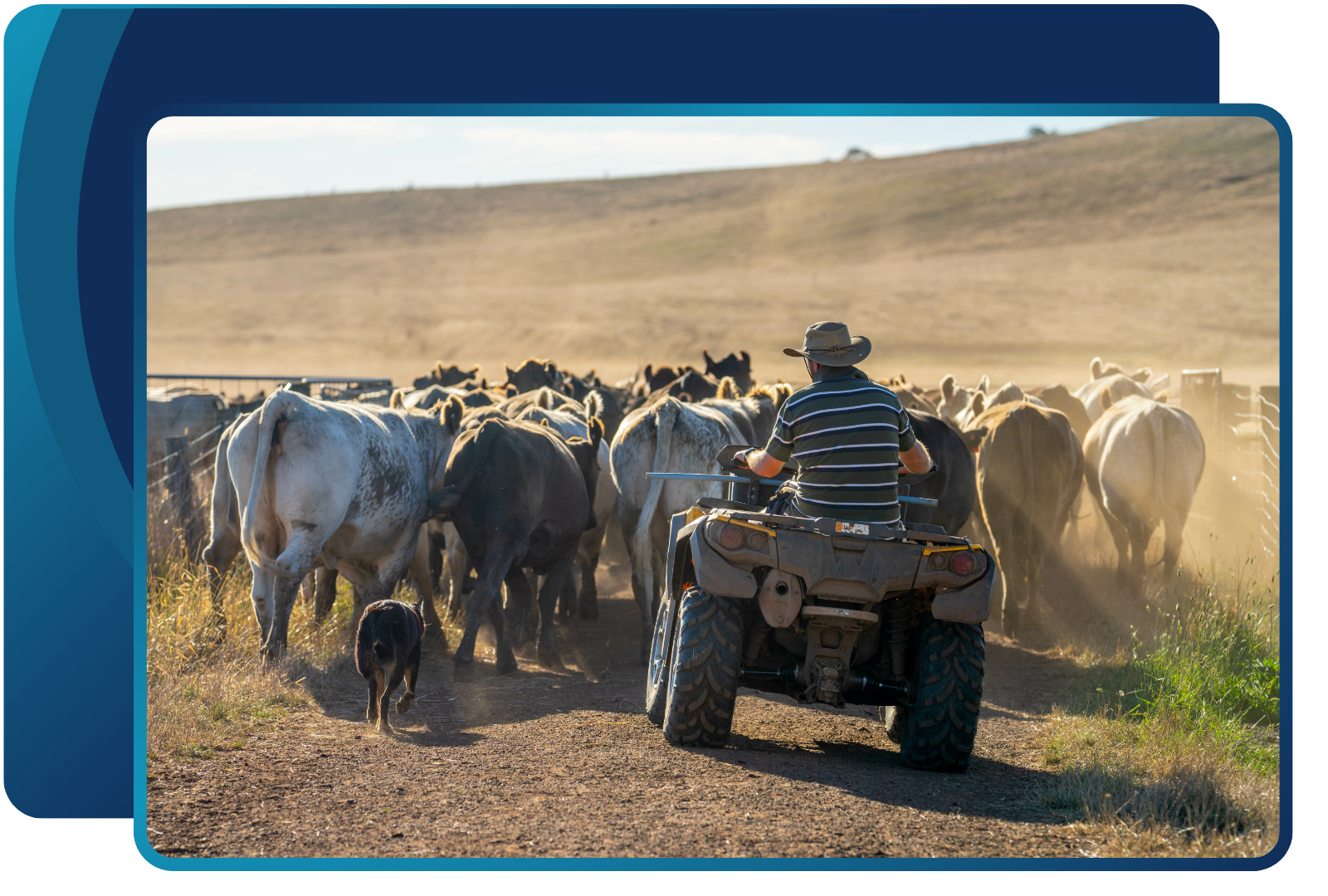 Untitled design - 2025-11-05T170406.384