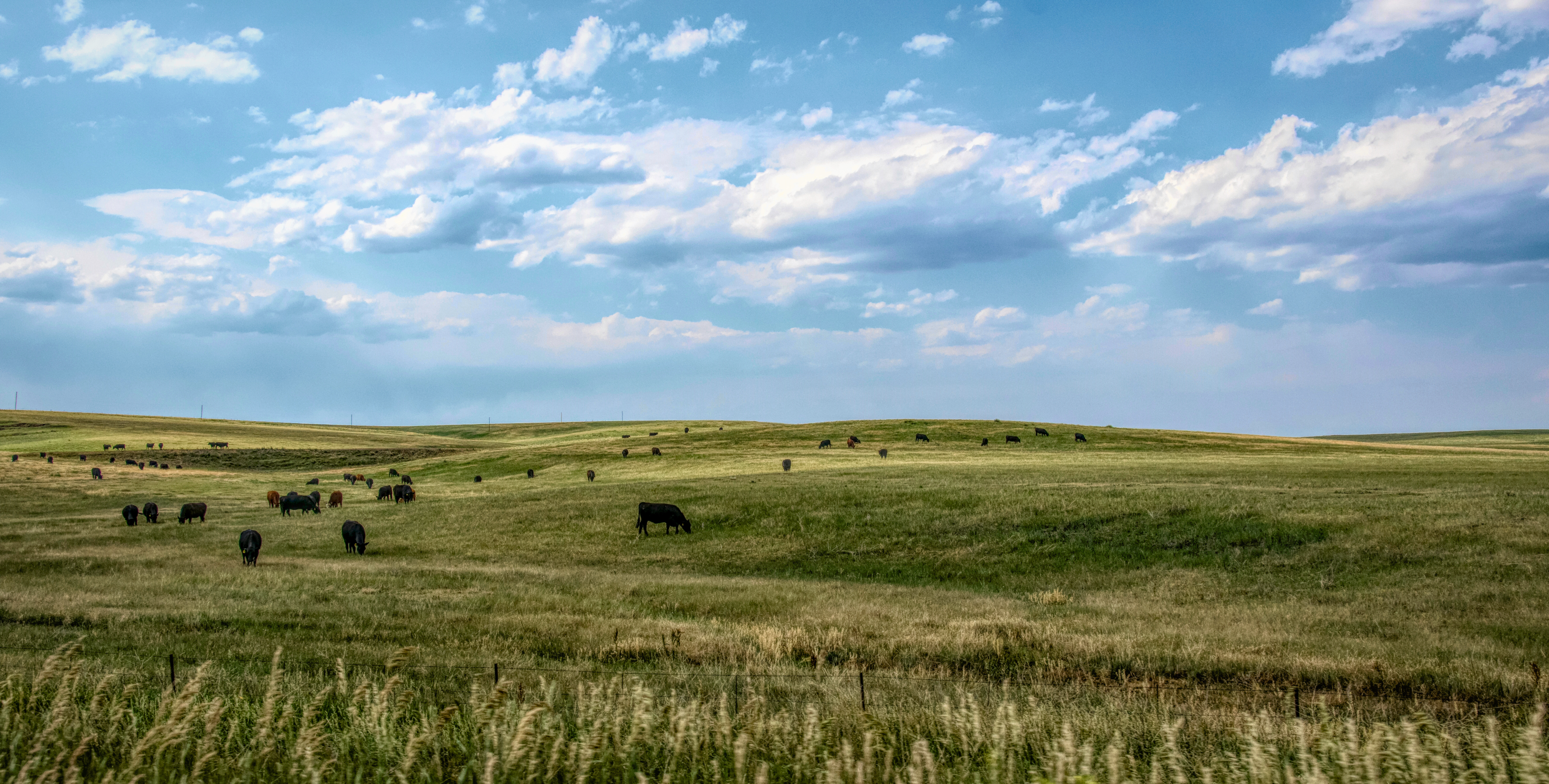 us-cattleranch-colorado-1