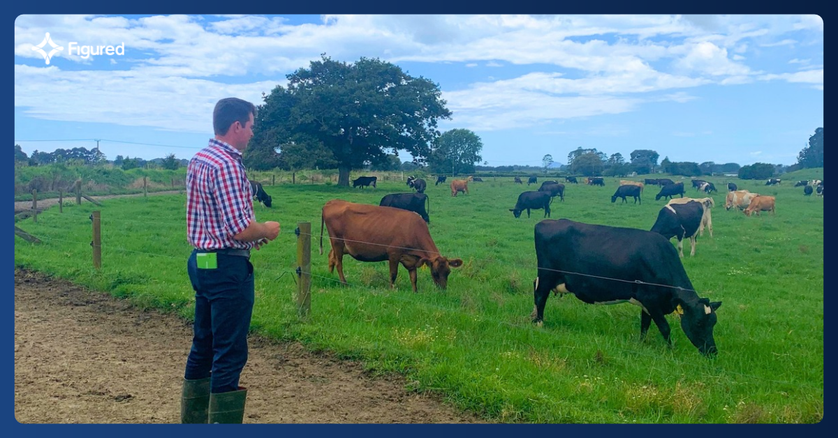 From Farm Managers to Award-Winning Sharemilkers: And How They Did It
