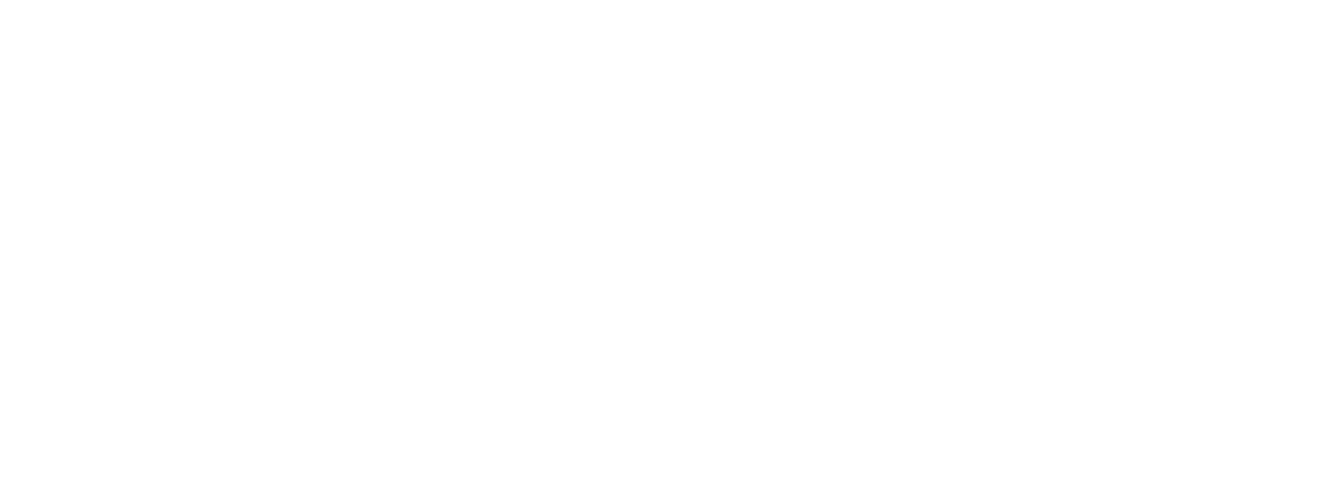Precision-Advising-logo