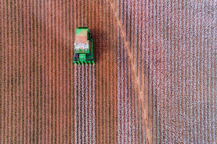 au-cropfarm-cotton1