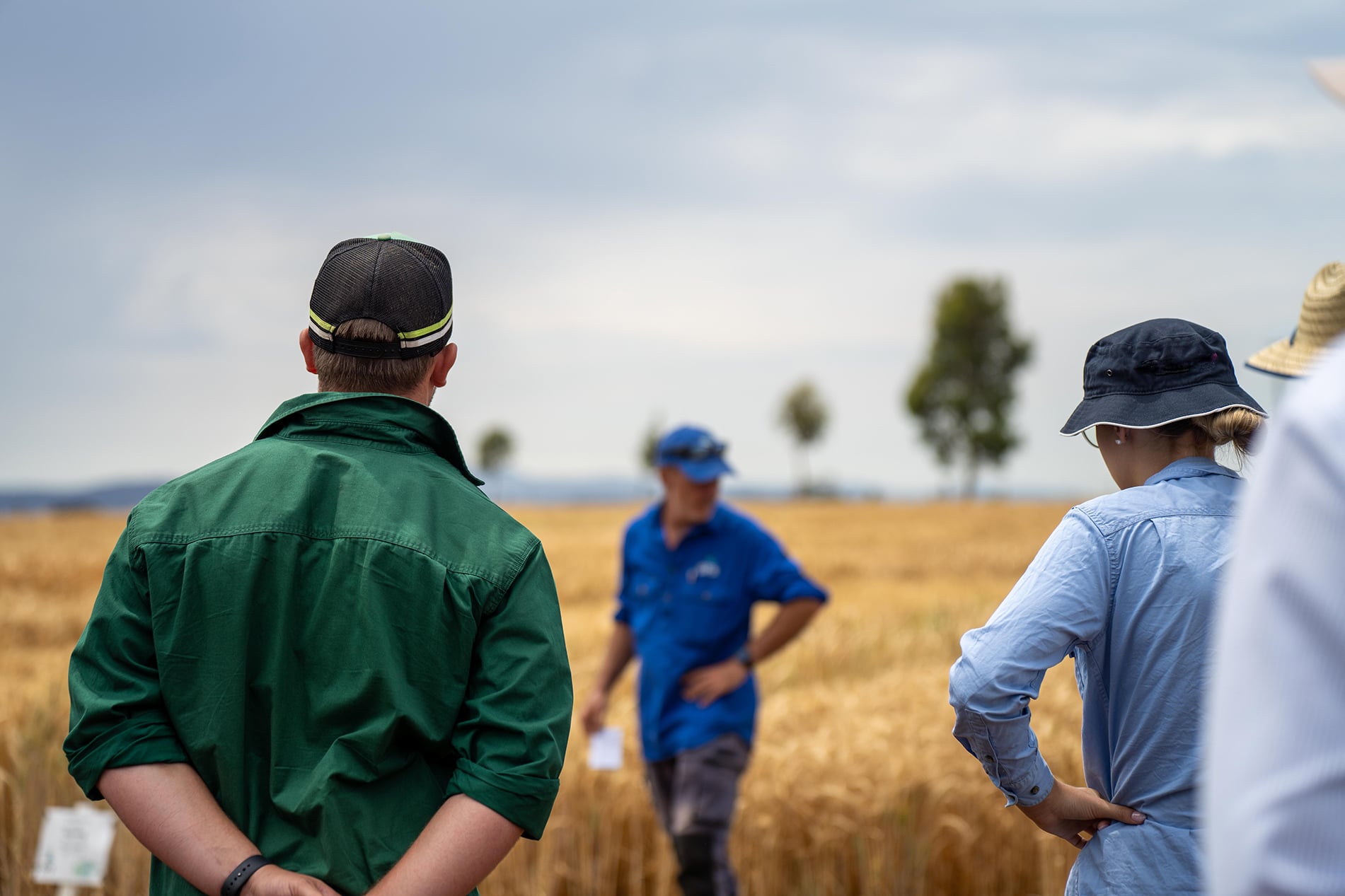 au-cropteam