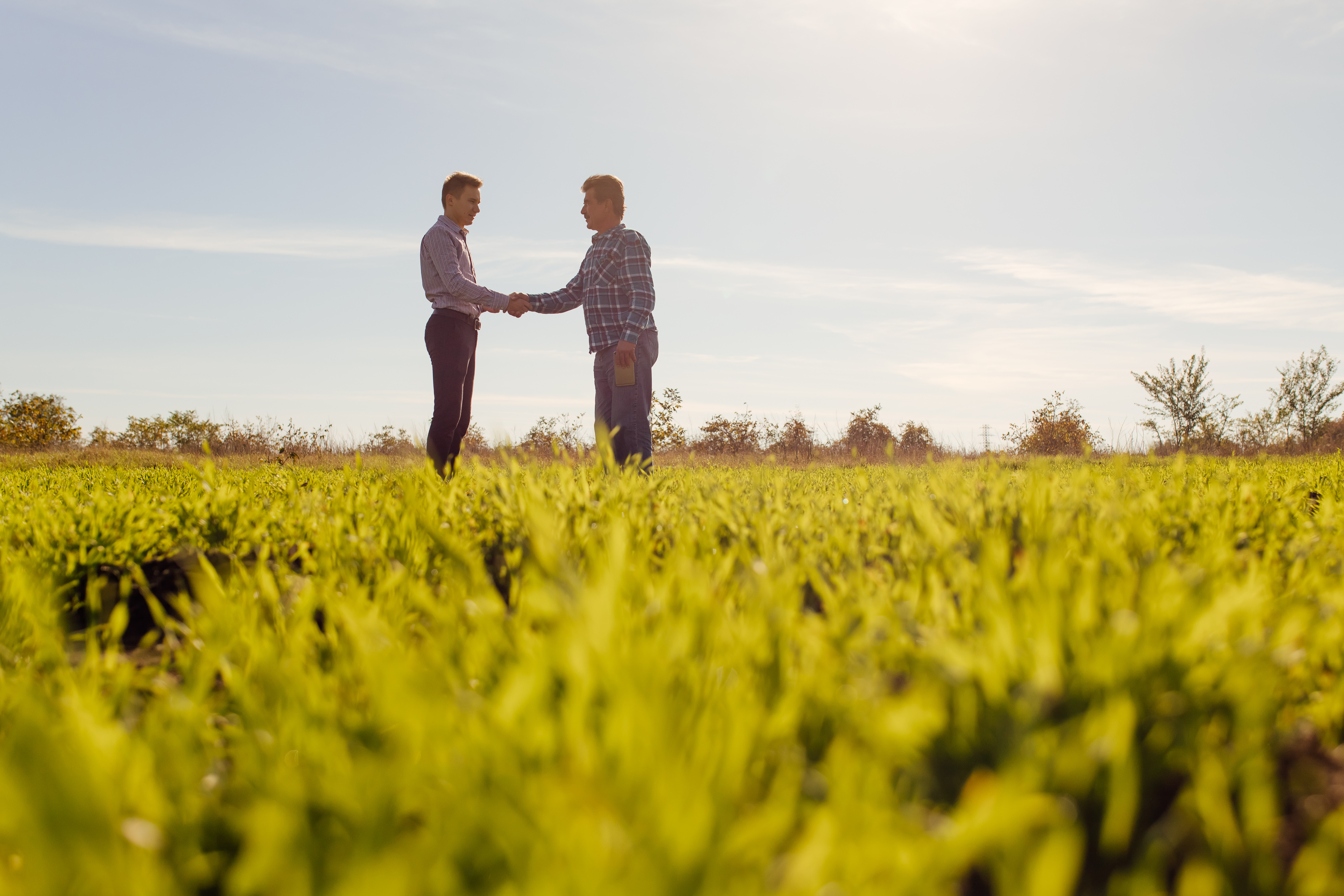 us-crop-team-3