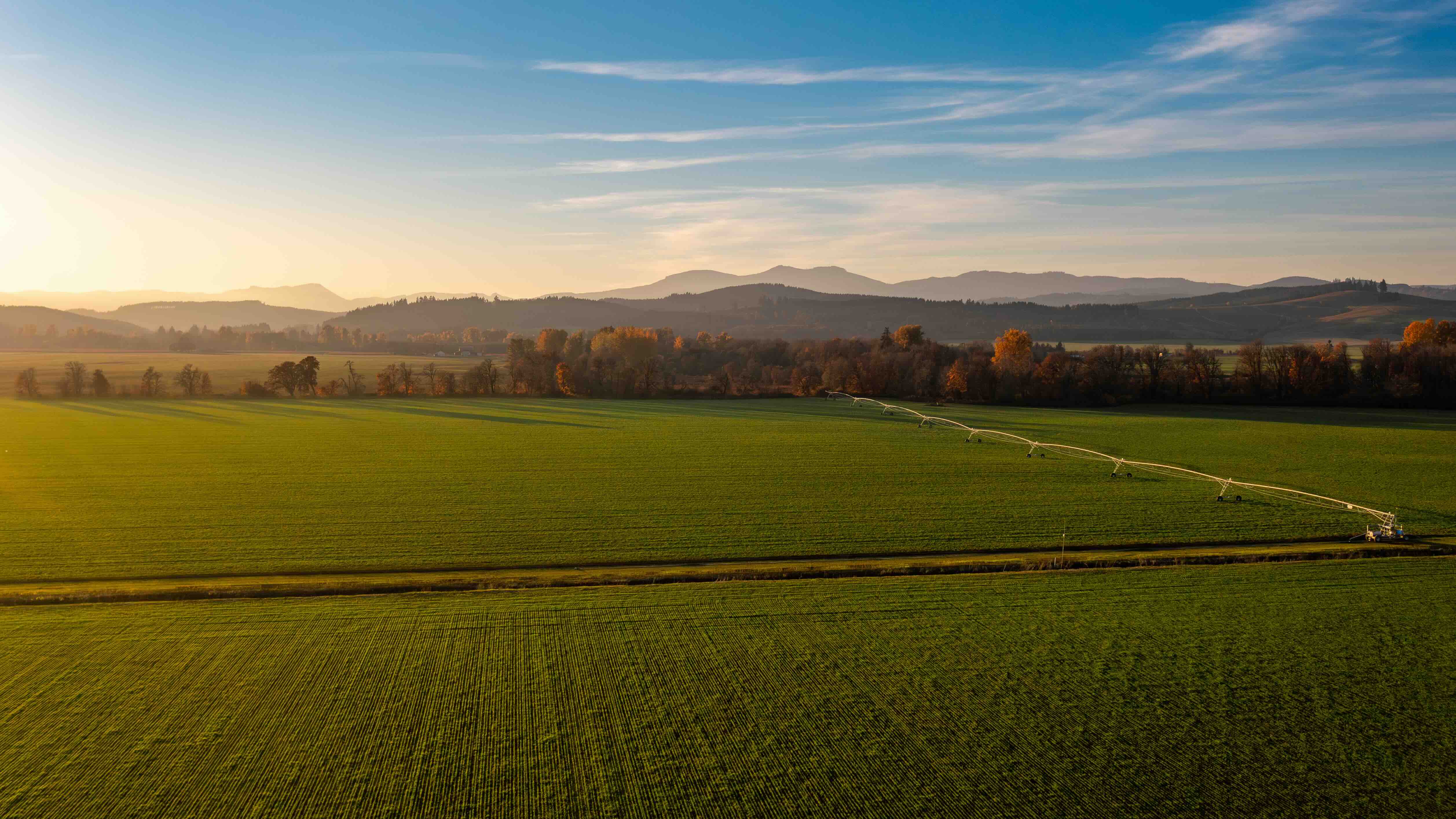 Wide farmland at dawn with mountains behind