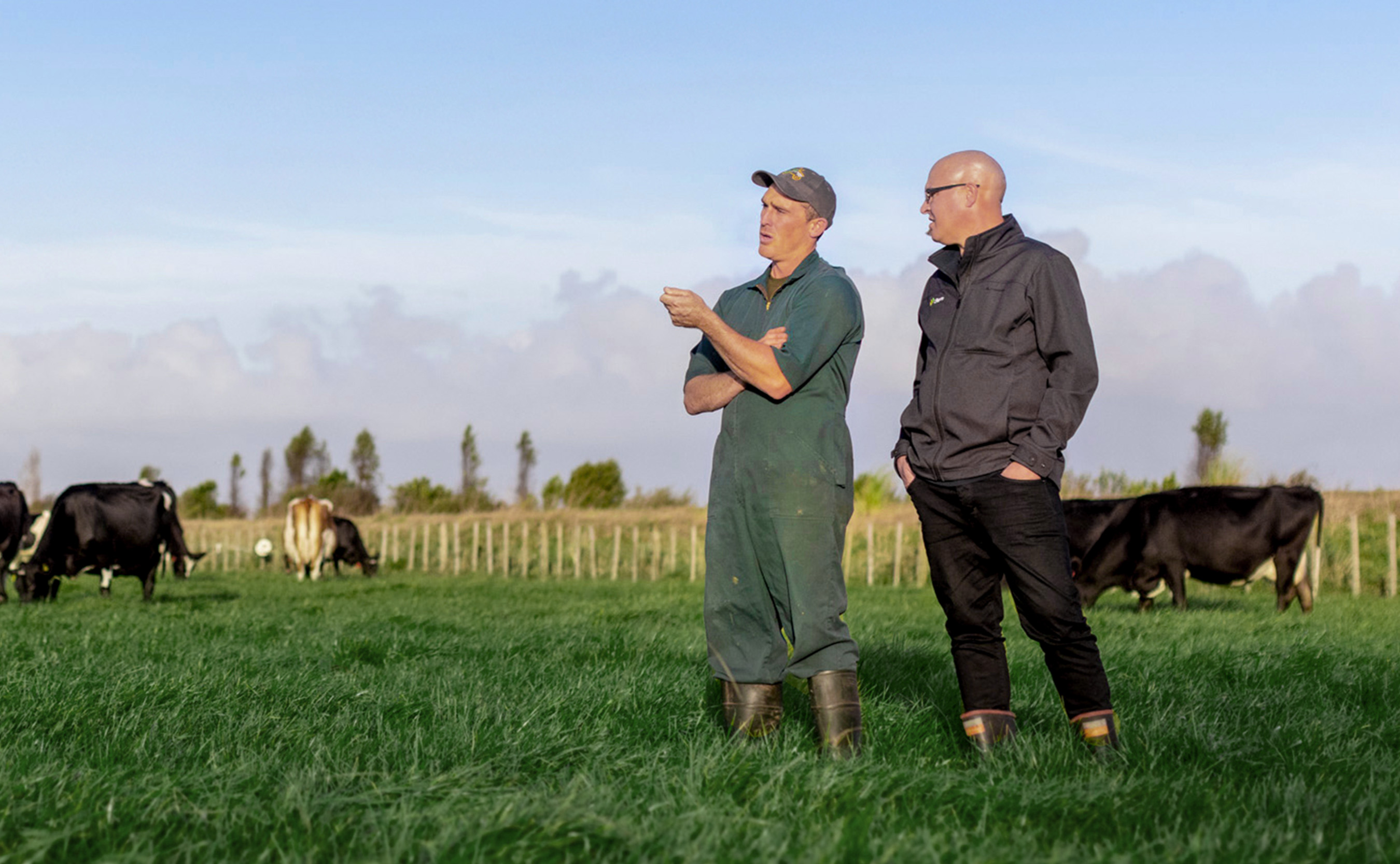 dairy-farmer-adviser-herd-paddock-waikato-nz